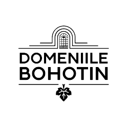 Domeniile Bohotin