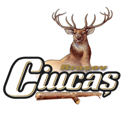 Ciucas